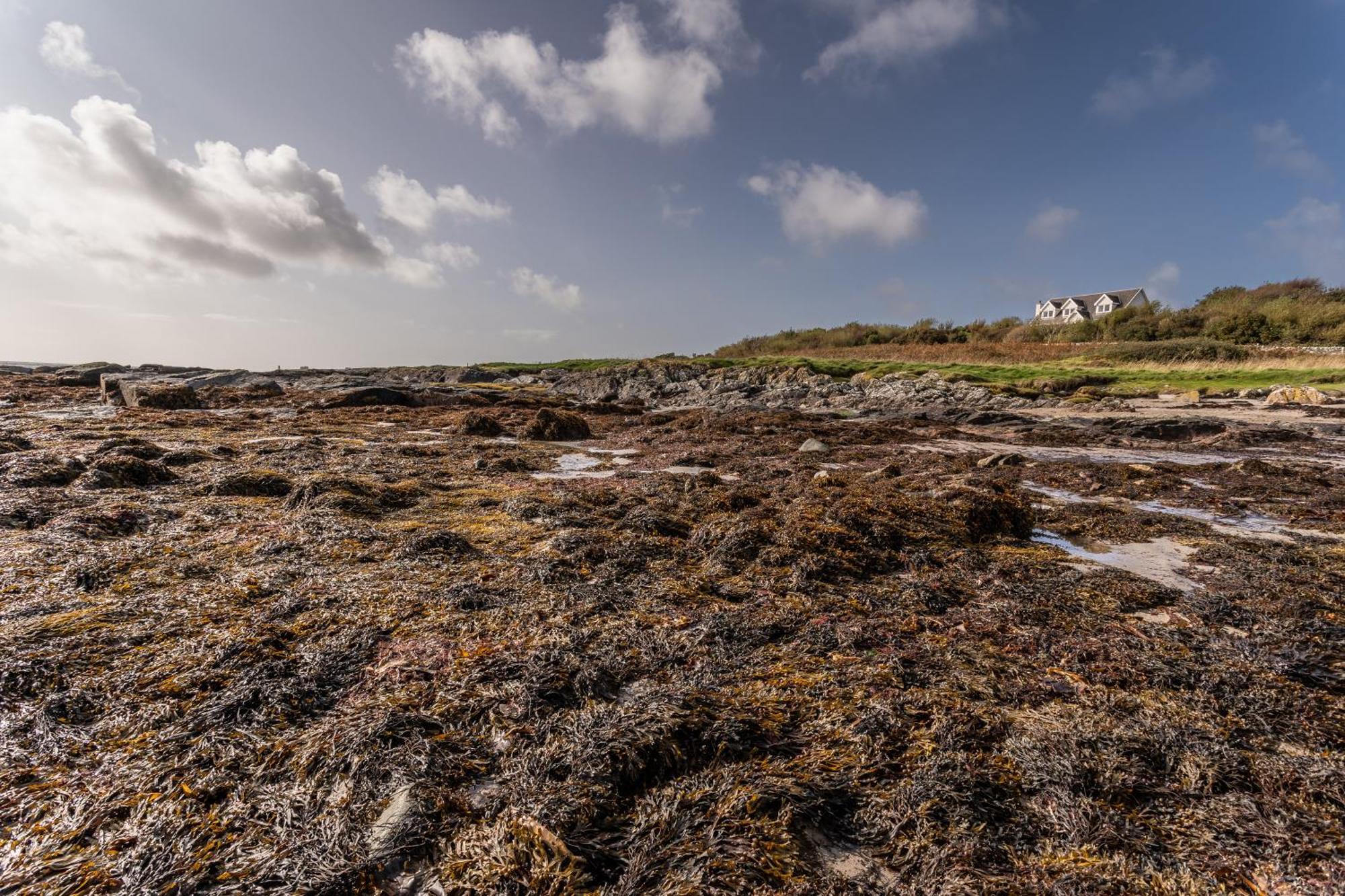Shorefield, Bruichladdich Экстерьер фото
